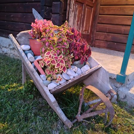 Bungalovi Vukovic Мойковац Екстериор снимка