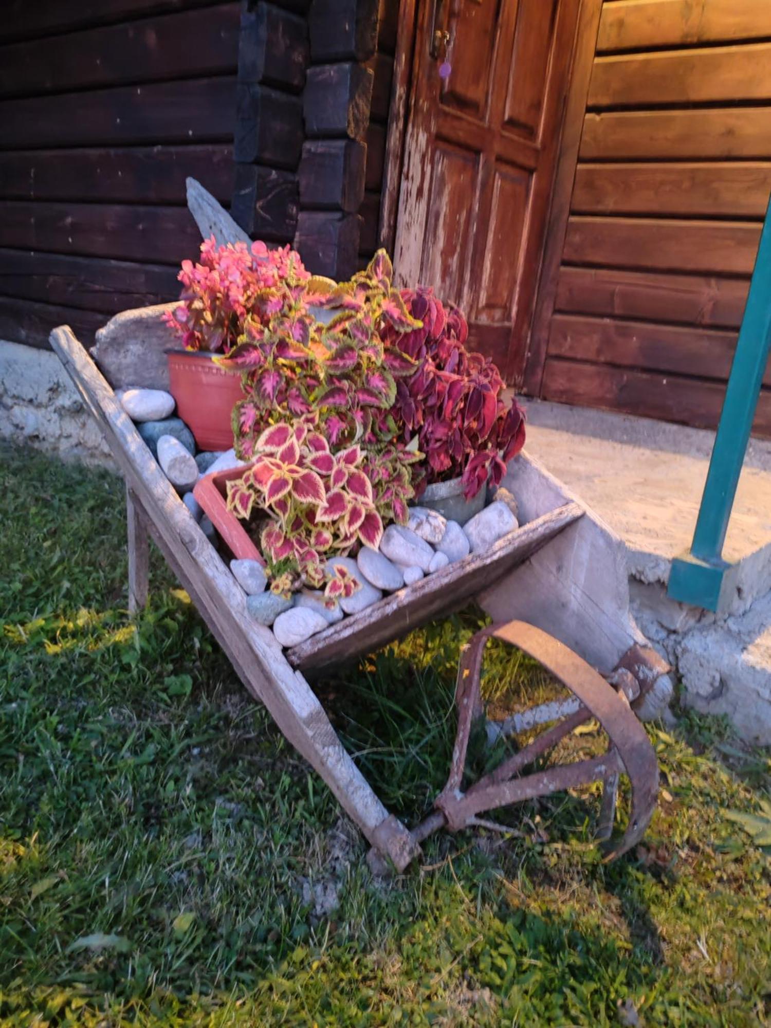Bungalovi Vukovic Мойковац Екстериор снимка