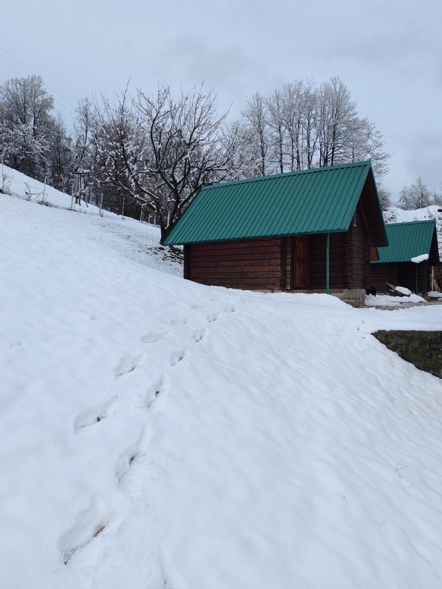 Bungalovi Vukovic Мойковац Екстериор снимка